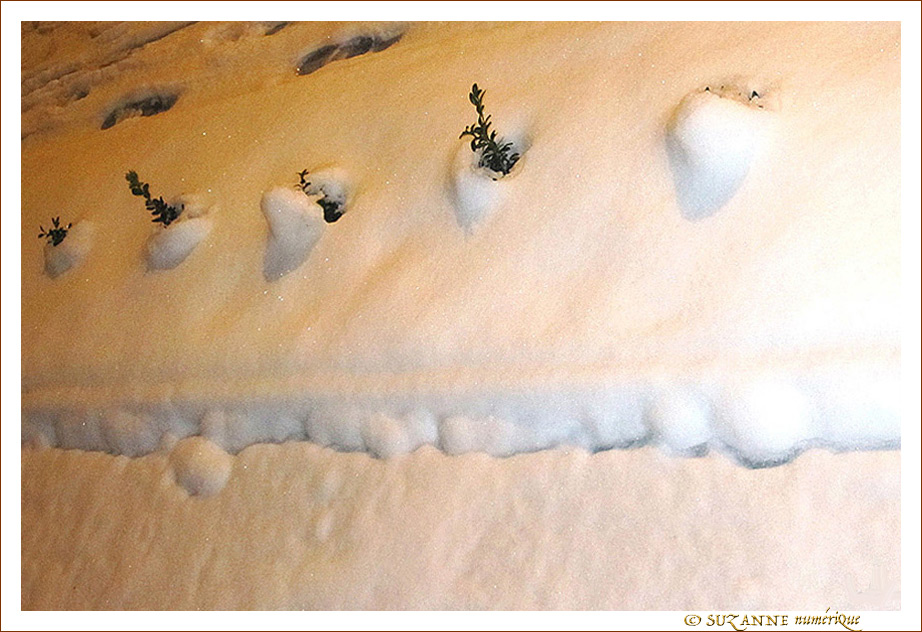 Clins d'oeil parmi les cristaux -- 14/01/10