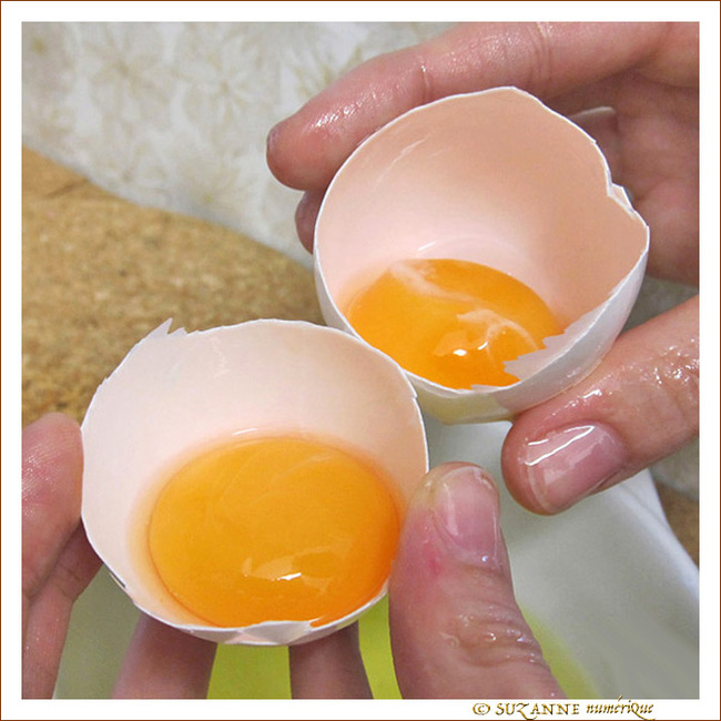 Oeufs jumeaux s�par�s. R�ponse de la r�ponse. -- 06/04/10