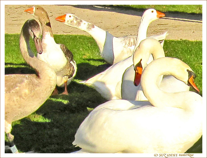 Ils sont pass�s par ici. Ils repasseront par l�