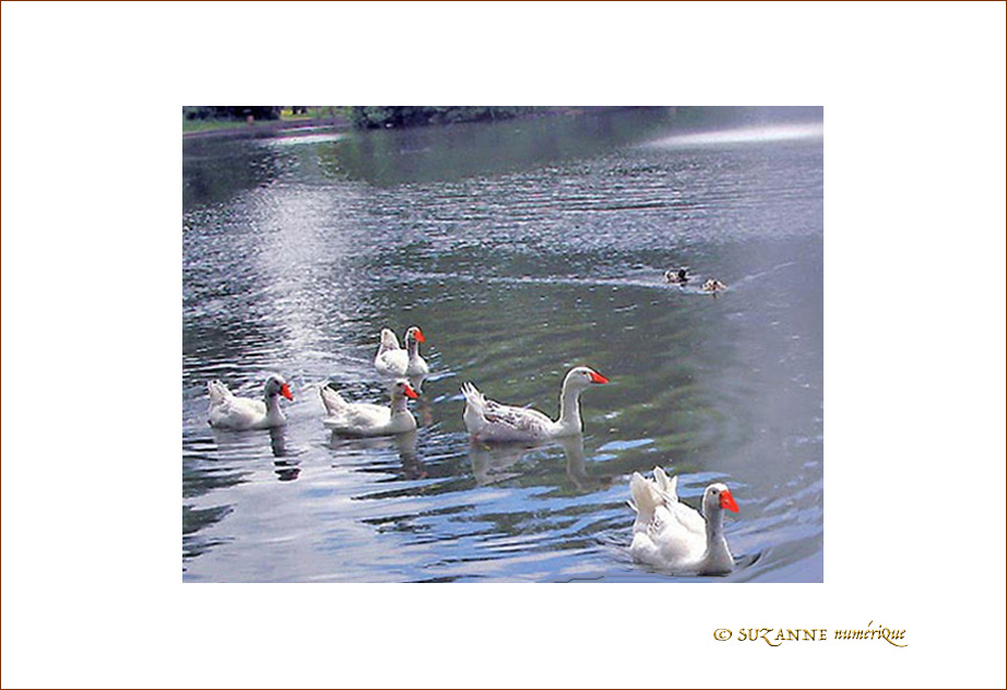 Sous les Fontaines