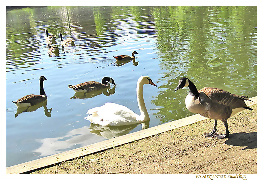 Rencontre au soleil