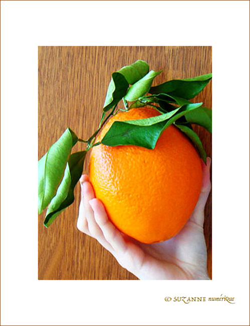 Orange g�ante