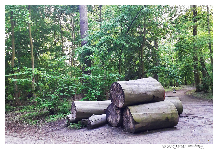 Cherchez l'Intrus -001- -- 13/07/21