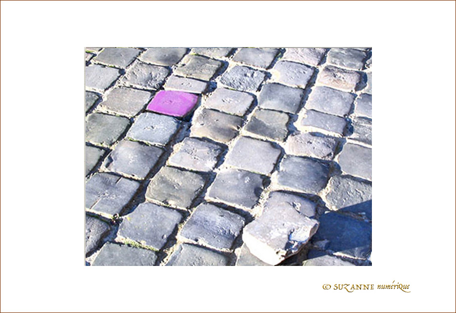 Si le Gris �tait Rose ...?
