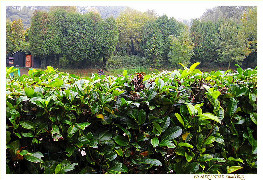 Seul au Monde�? -- 11/11/12