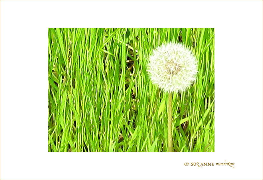 Souffle -- 20/04/09