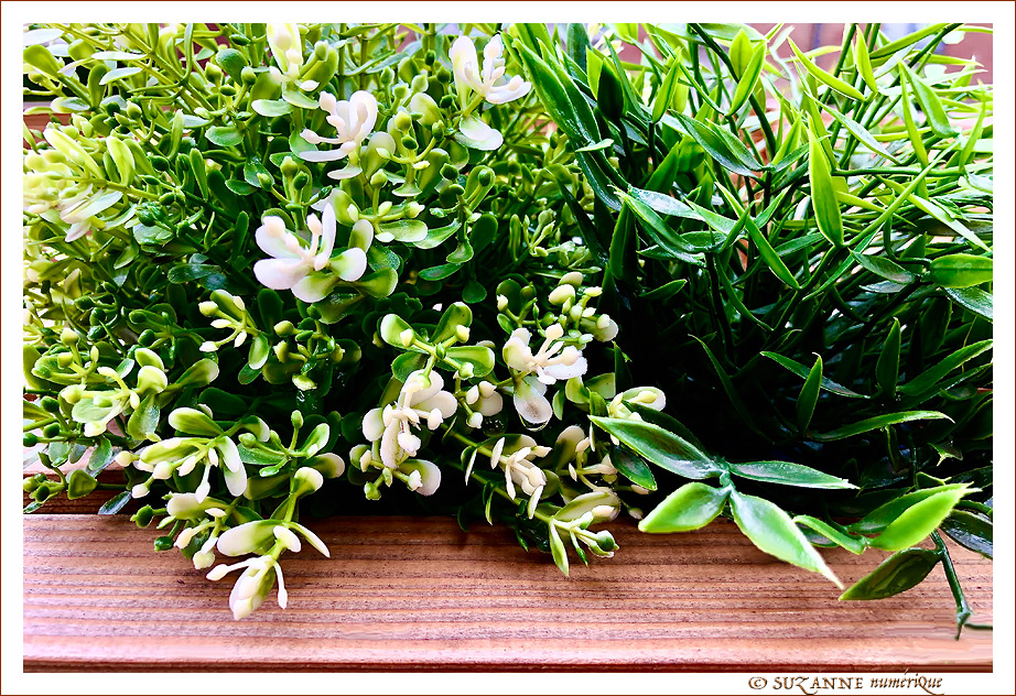 Au printemps, la Nature rena�t -- 03/05/23