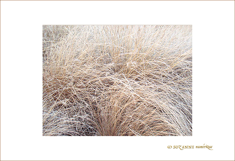 Caresses Hivernales -2-