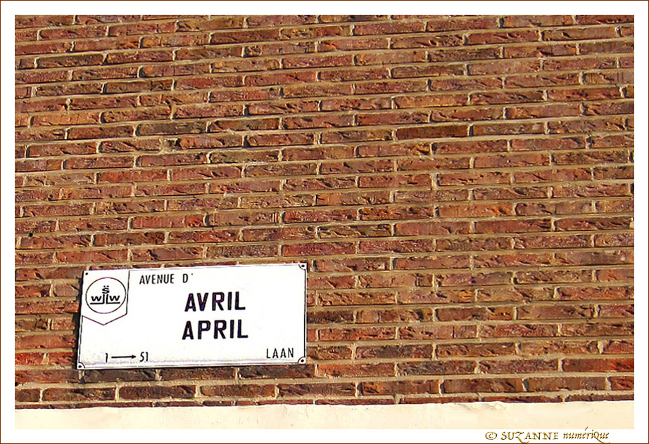 Avril entrant Coucou chantant -- 10/04/12