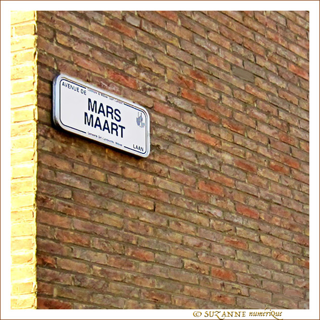 Le Soleil de Mars donne des rhumes tenaces -- 13/03/12