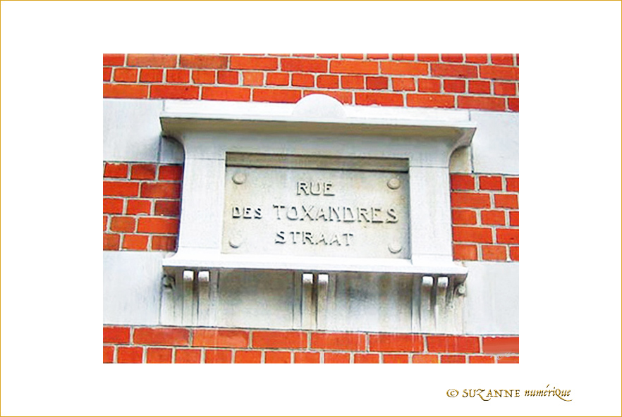 Plaque Rue des Toxandres -- 27/11/08