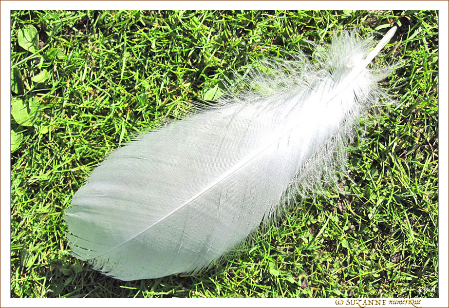 Pour �crire un mot