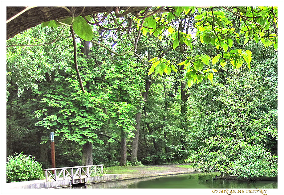 Pr�s du petit Pont -- 11/08/12