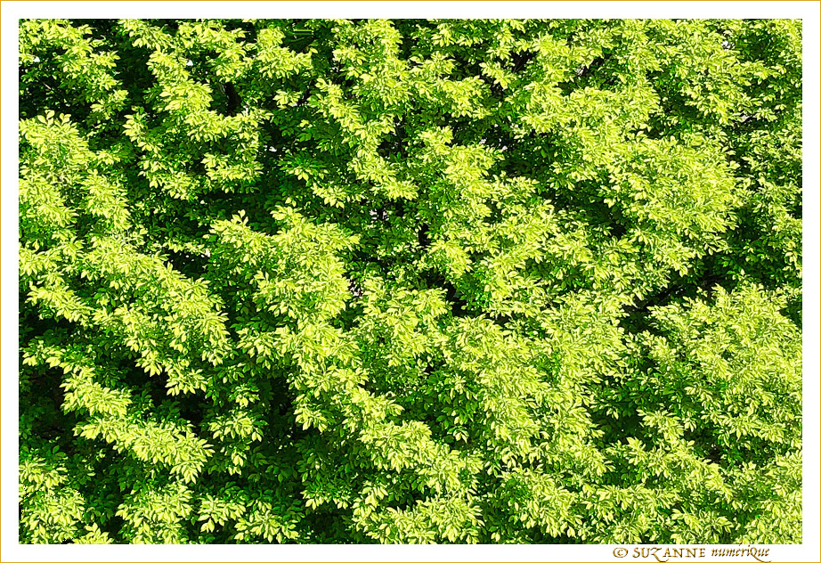 V'l� le Printemps -- 28/04/20