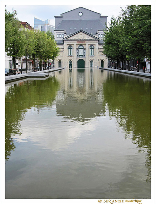 Quais -1-