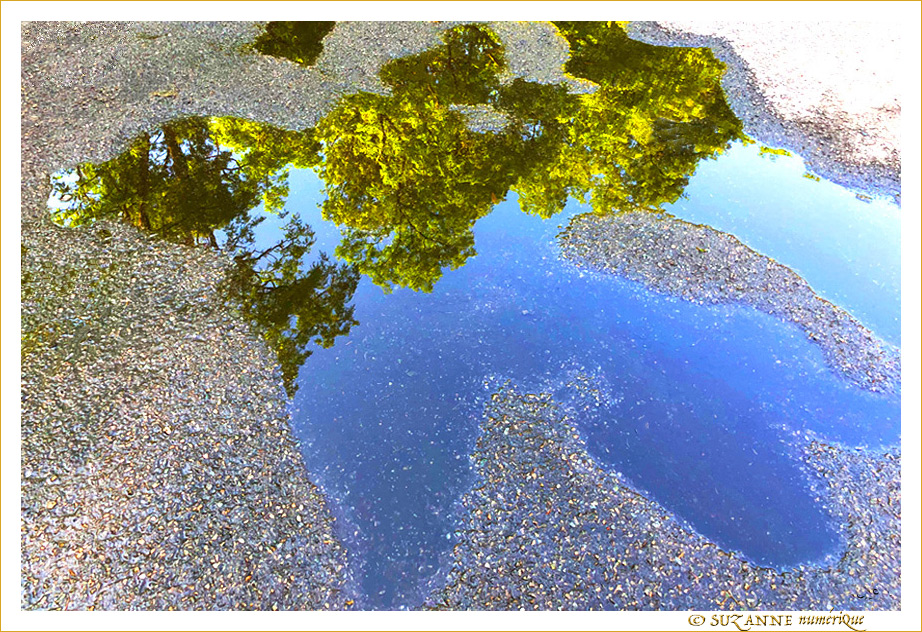 Souvenir d'�t� -- 28/09/19