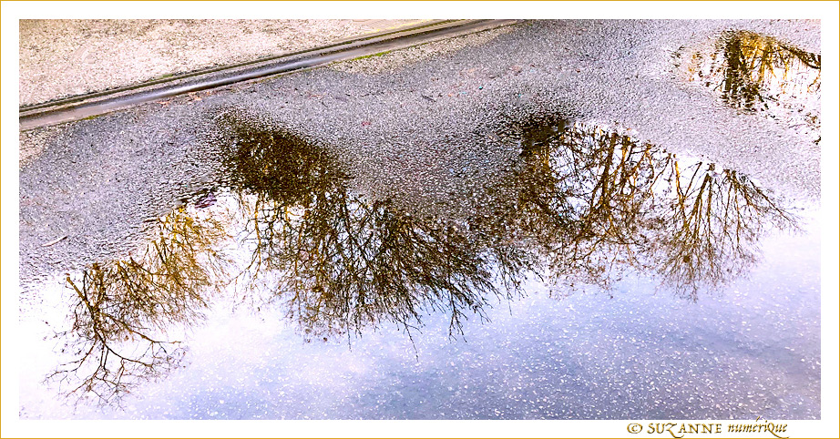 Tout passe... -- 22/02/21