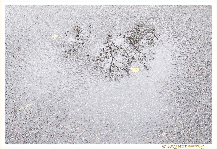 Les Feuilles s'en sont all�es -- 09/01/15