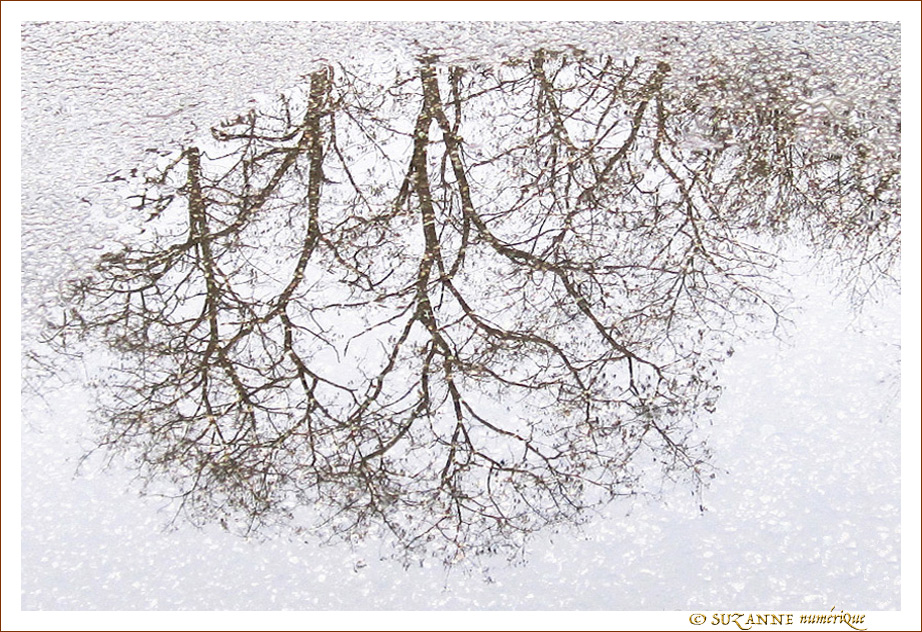 Quand la pluie dessine -- 23/03/15