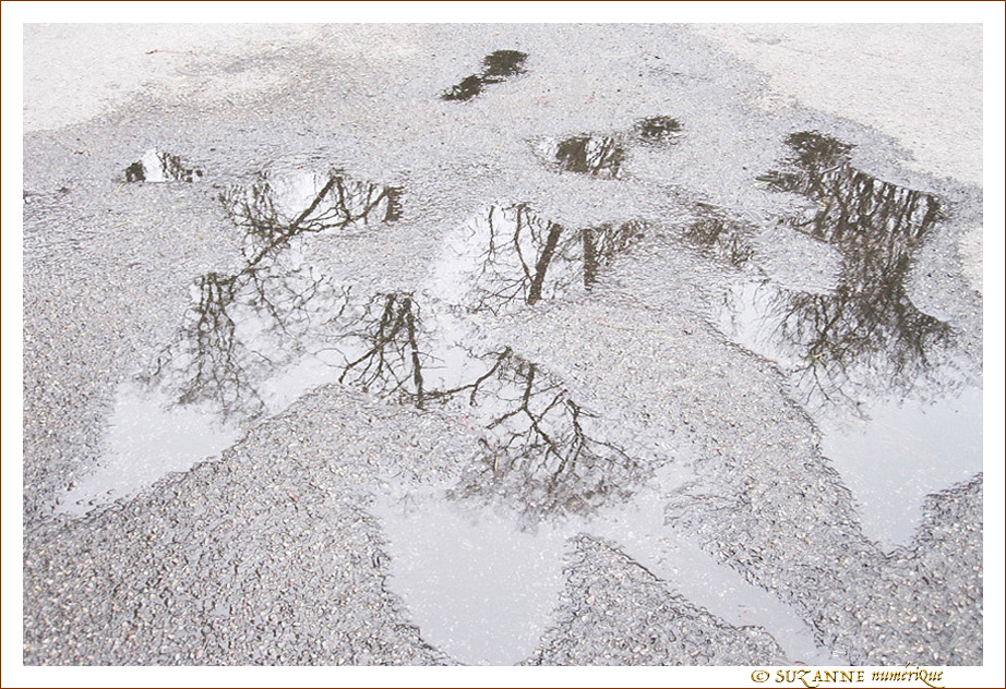 Puzzle Hivernal -- 18/02/15