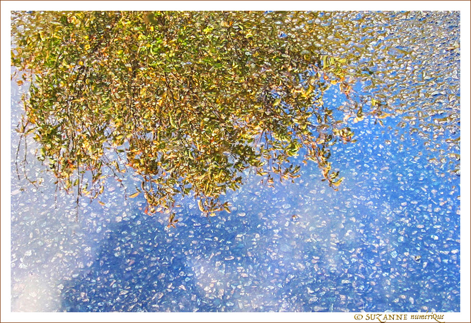 C'est Bruxelles, c'est l'Automne -- 27/11/17