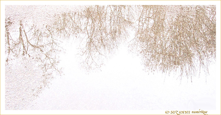 Renvers�s sous la Pluie -- 03/02/19