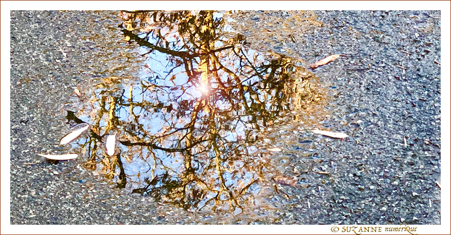 Saisons m�l�es -- 26/03/22