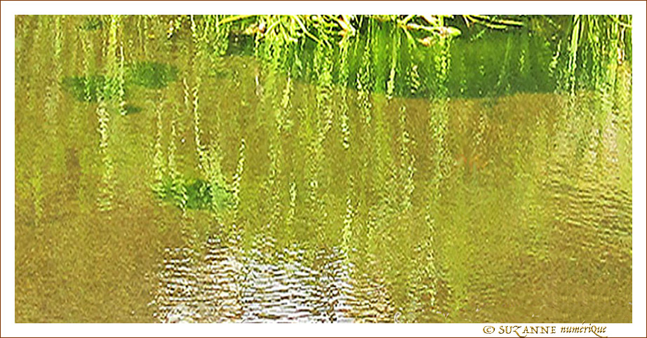 Vert dans l'eau