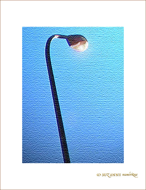 L'Ombre et la Lumi�re