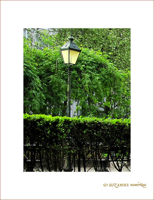 Vert tamis� -- 19/06/09