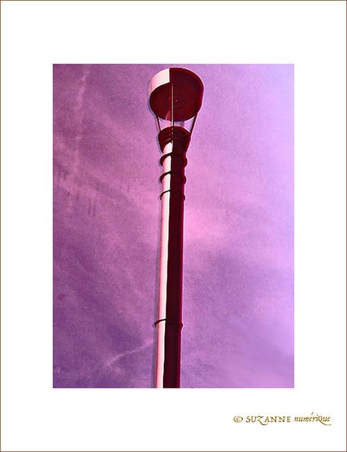 Si la Nuit �tait Rose�?