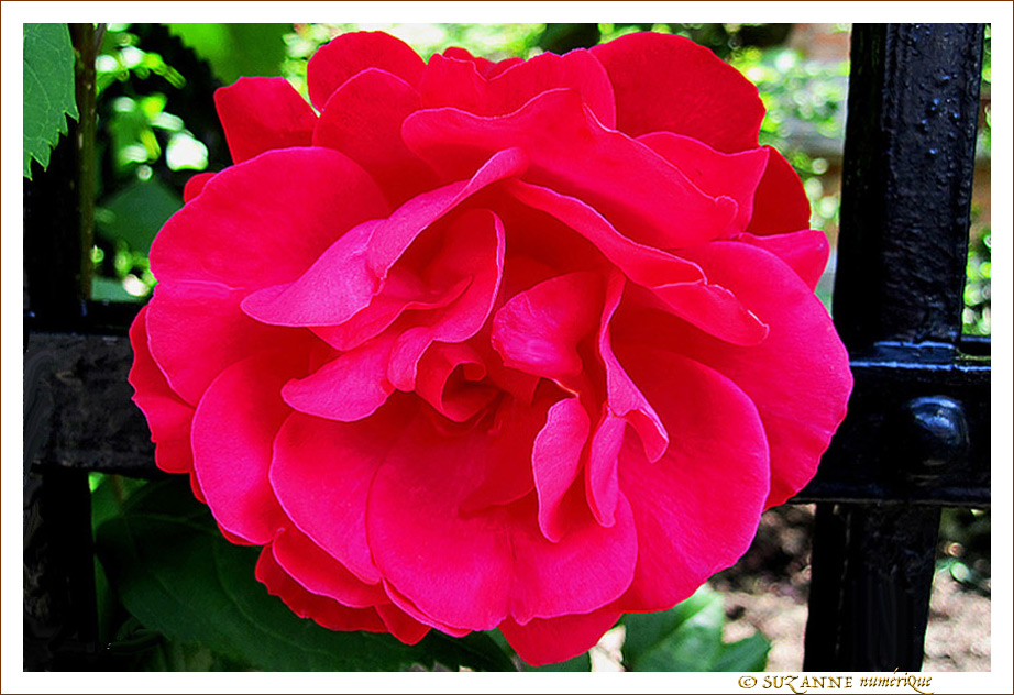 En Vie de Libert� -- 15/06/12