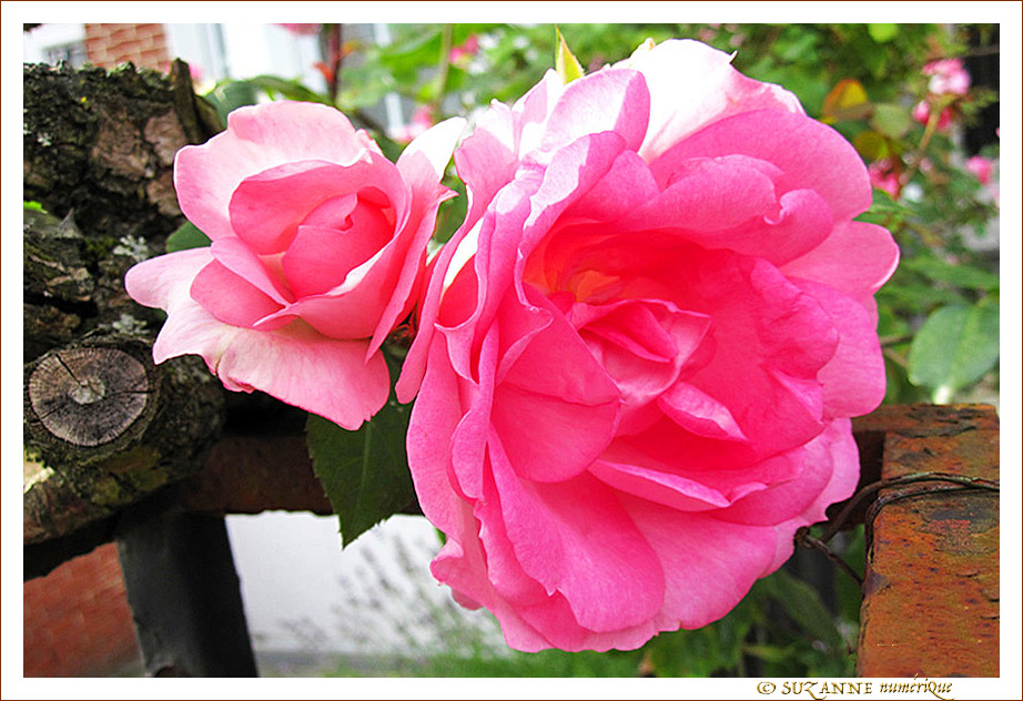En Vie de Lumi�re -- 13/07/13