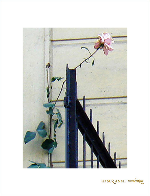 Simplicit� de l'Essentiel -- 16/01/09