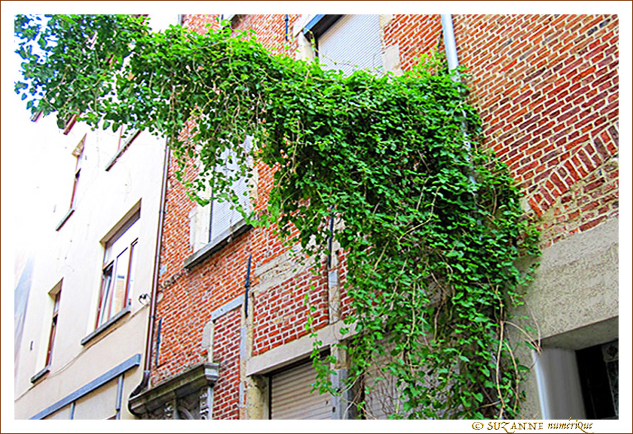 Quand le Vert est � Angle droit -- 05/07/09