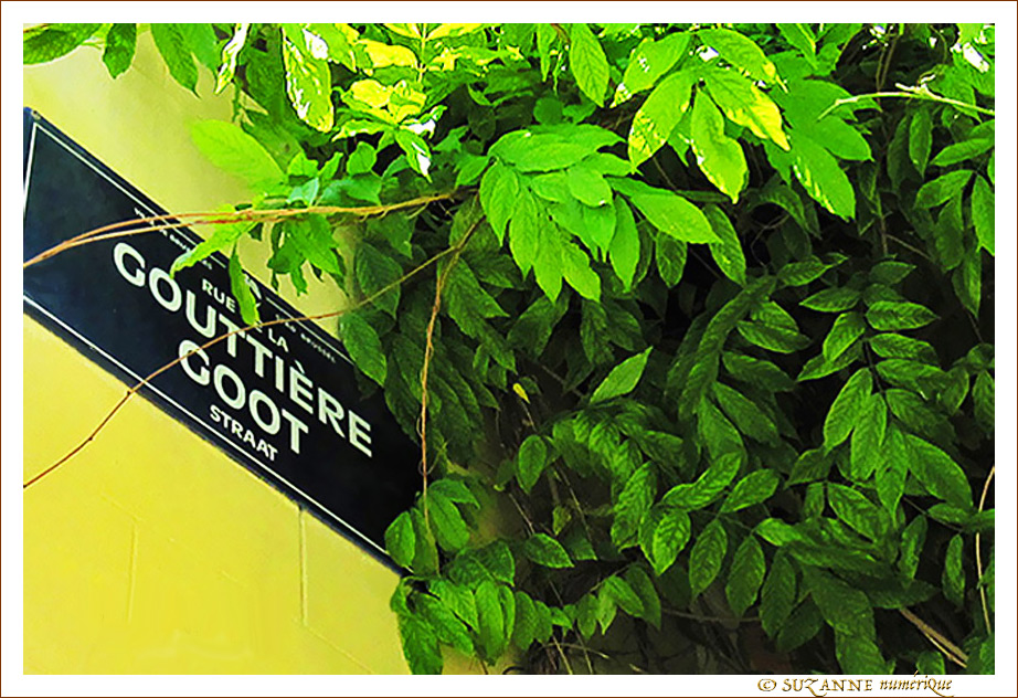 Plaque Rue de la Goutti�re