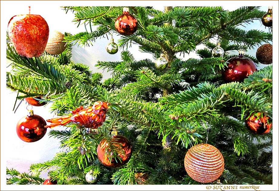 Oiseau�? Pomme�? Pomme de Pin�? -- 24/12/12