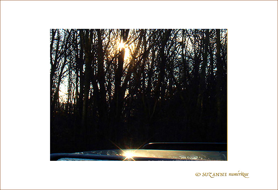 Reflets d'Hiver -- 22/01/09