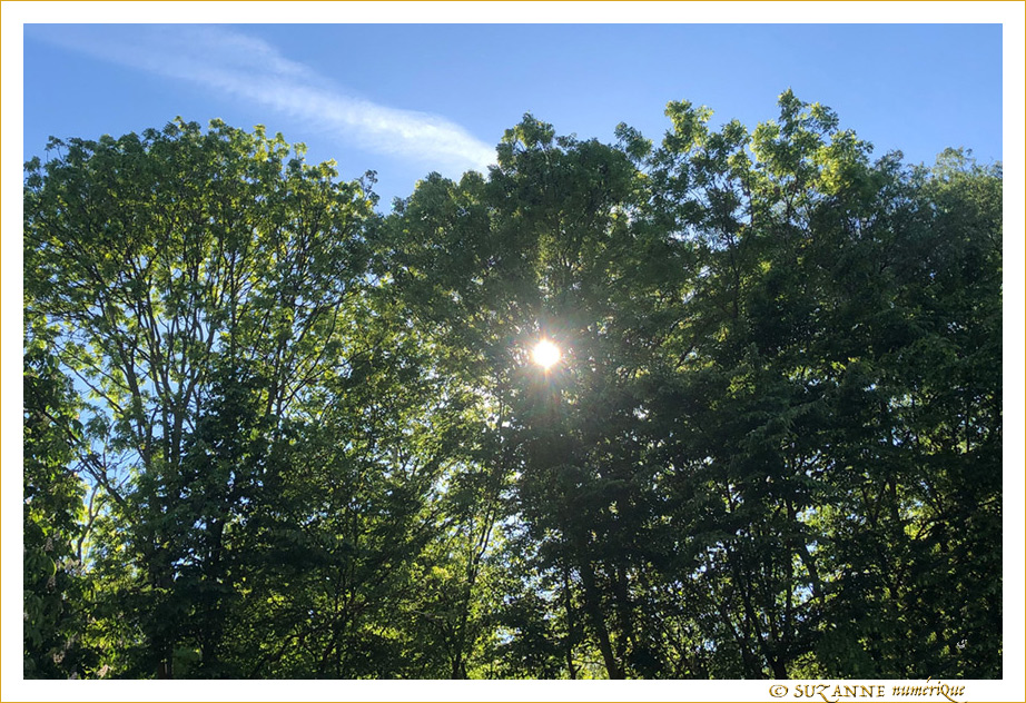 Un apr�s-midi ensoleill� de Printemps -- 05/06/19