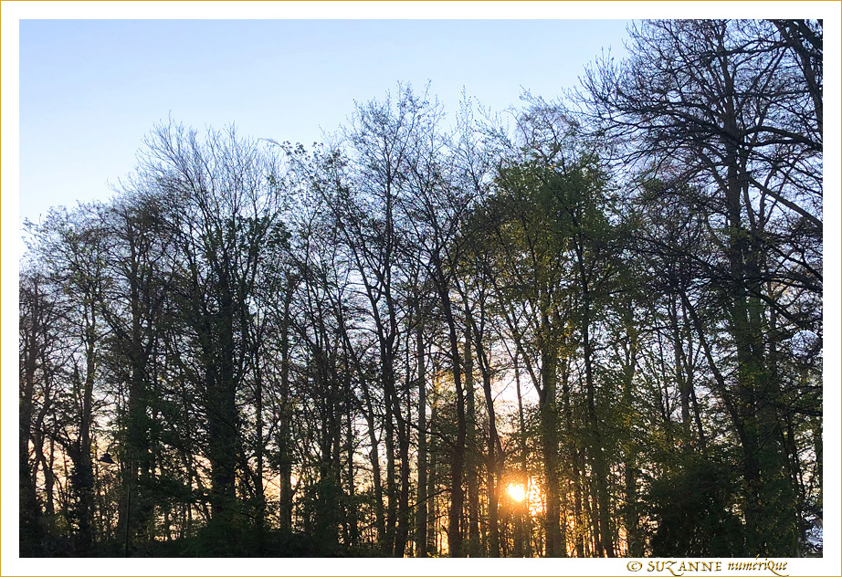 Soleil couchant -- 22/04/19