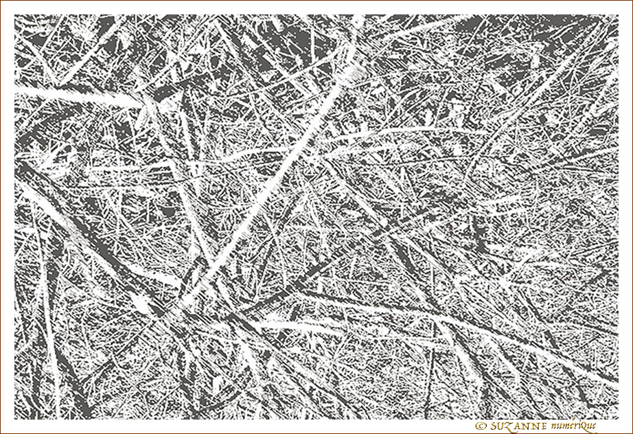 Comme un sol en Hiver -- 21/01/14