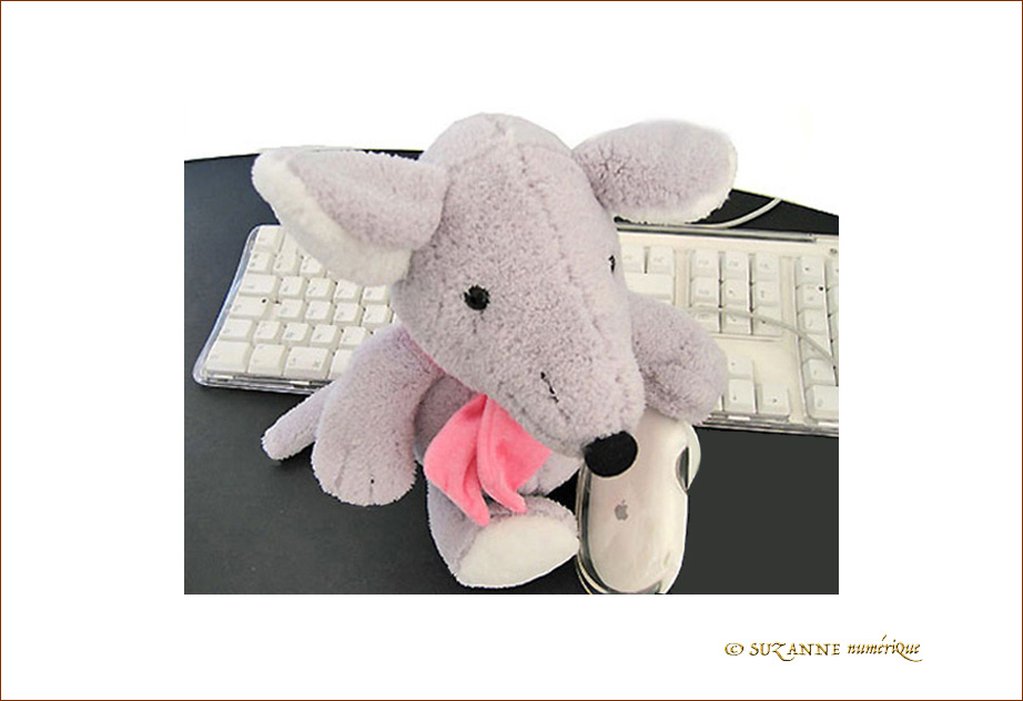 Prendre une Souris par la Main � -- 15/12/05