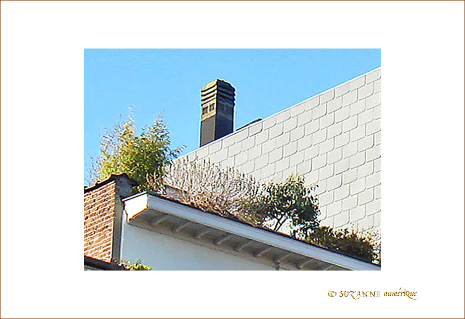 Jardin d'Hiver - 001 - -- 10/12/08