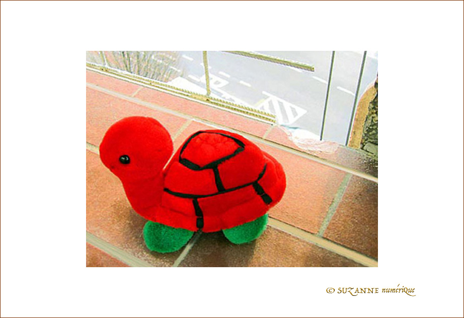 Attention�! Vertige�!!! -- 01/03/05