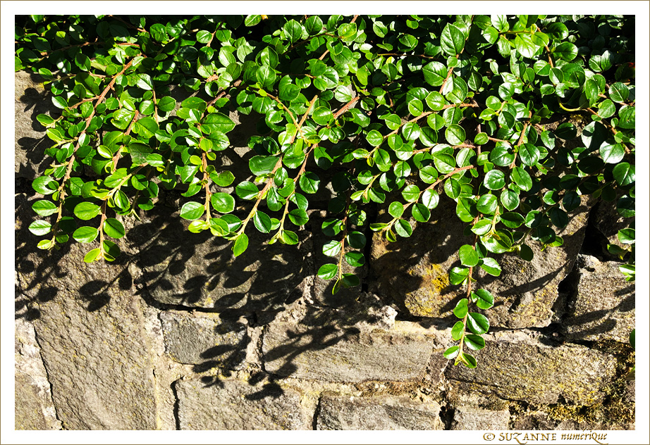Sous le Soleil -02- �t� 2021 -- 27/07/21