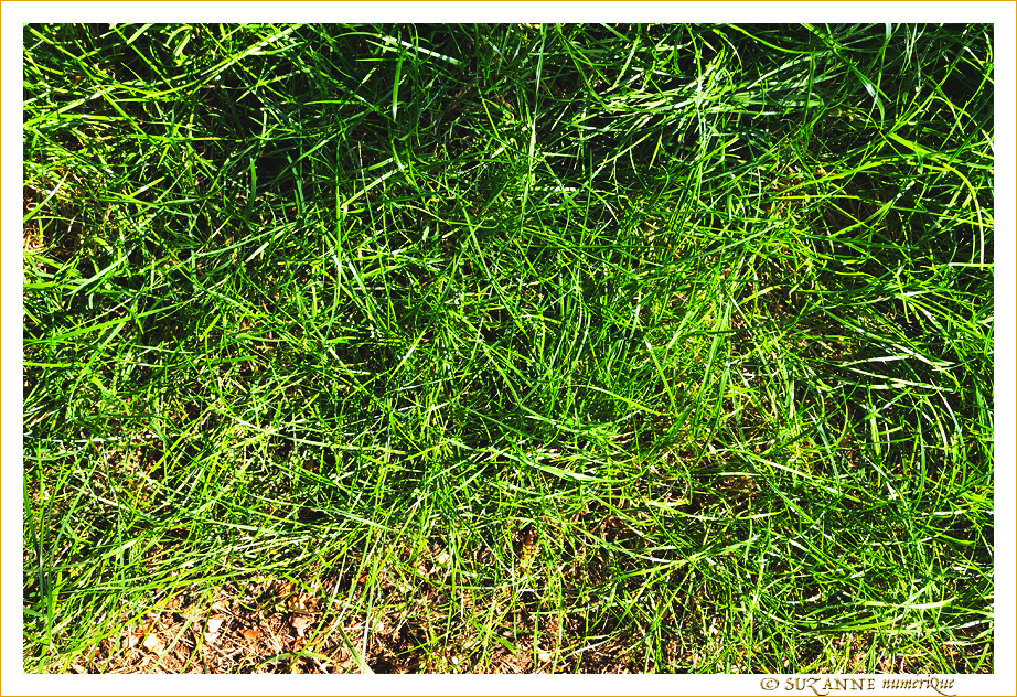Sous le Soleil -08- �t� 2021 -- 07/09/21