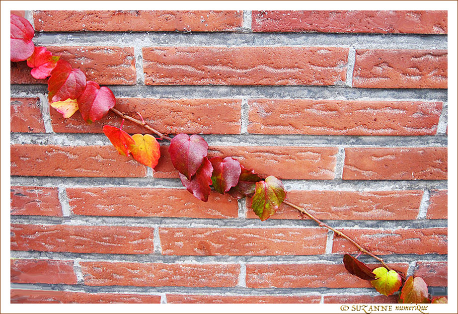 Guirlande Rouge Guirlande Rouge