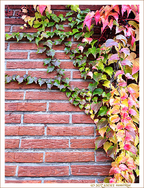 Décor mural -1- Décor mural -1-