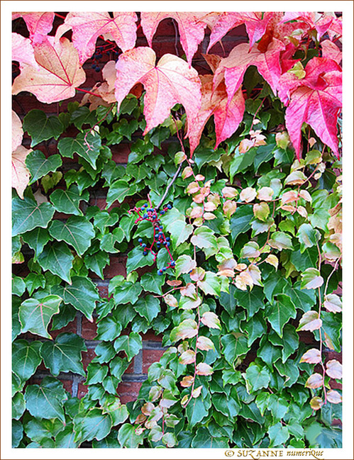 Décor mural -2- Décor mural -2-