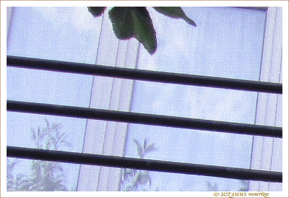 Transparence vitr�e -- 01/10/10